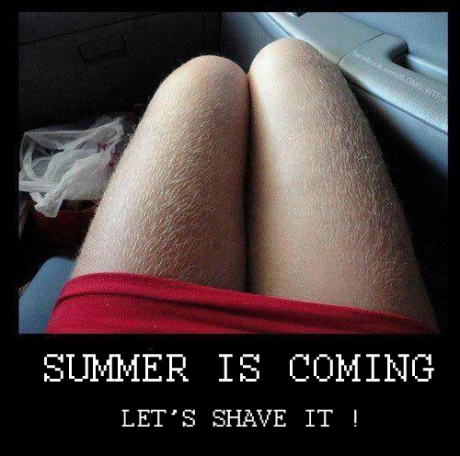 Summer is coming let's shave it.