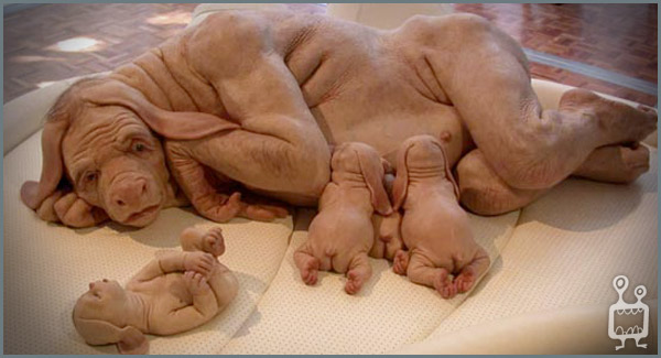 WTF IS THIS?