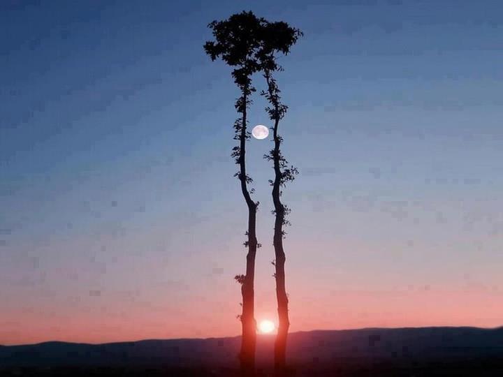 Beautiful Sun_Rise With Moon: Nature is always awesome