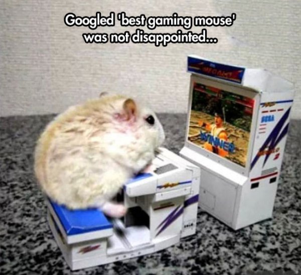 crazy gaming mouse