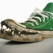 Crocodile Shoe