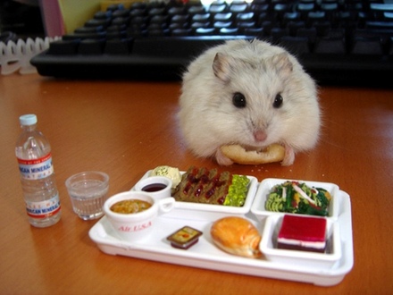 Lunch Time