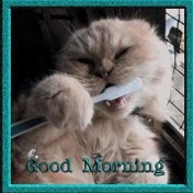 Good Morning All of U