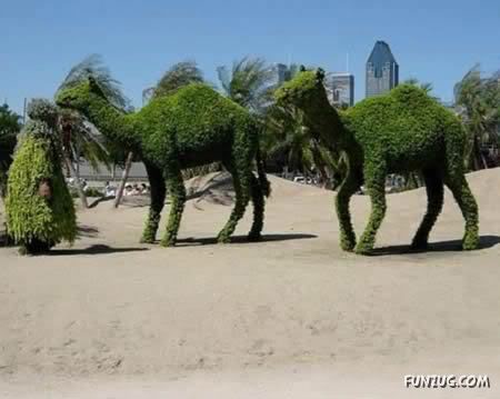 Awesome Grass Sculptures