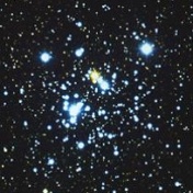 Stars